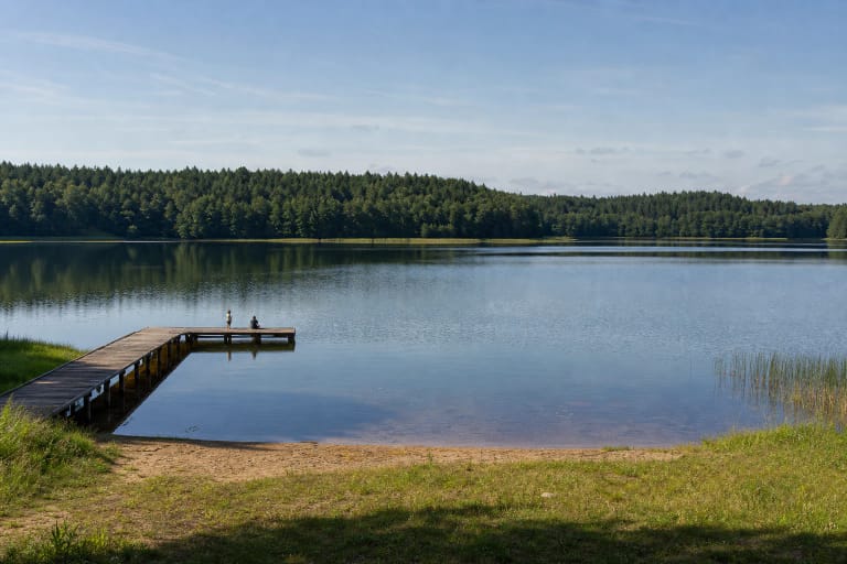 Calm water on Glūkas Lake between dense Dzūkija forests, with a sandy shore, reeds, and a modest wooden pier extending from the left