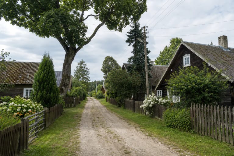 Siaura Grabijolų kaimo gatvė tarp medinių pirkių, žemų tvorų ir gėlių darželių