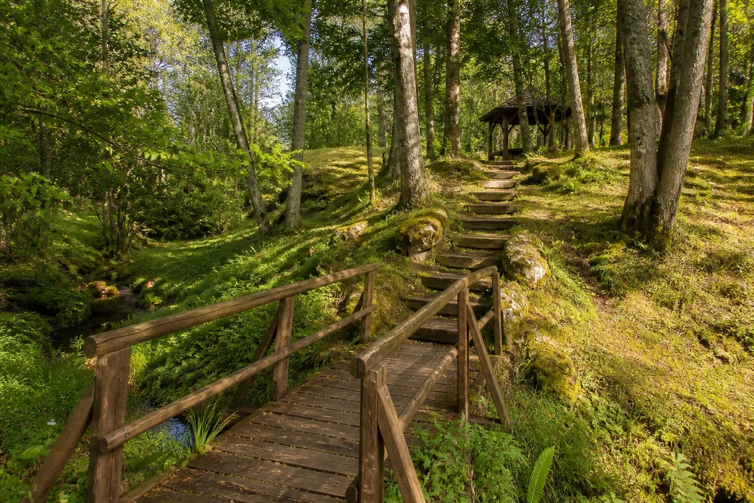 Woodland trail with a timber footbridge and stairs at Gražina’s Homestead Recreational Park