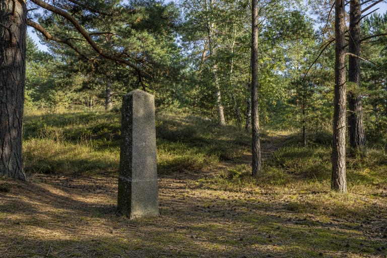 Narrow lichen-covered granite memorial in a forest clearing on Hagen's Dune, surrounded by pines and birches