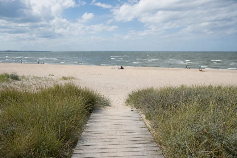 Timber path crossing a grass-covered foredune to the broad sand of I Melnragė Beach and the Baltic Sea