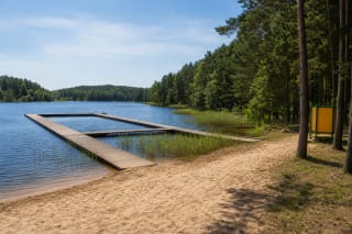 Sandy Ignalina Town Beach on Lake Gavys with a long rectangular pier, reed beds, and pine woodland