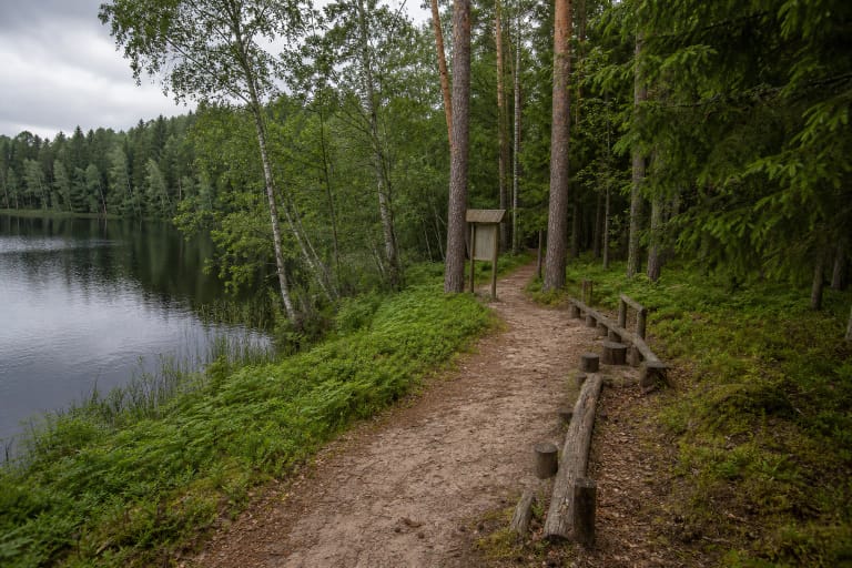 Ilgio ežero pakrantės takas mišriame pušų, eglių ir beržų miške