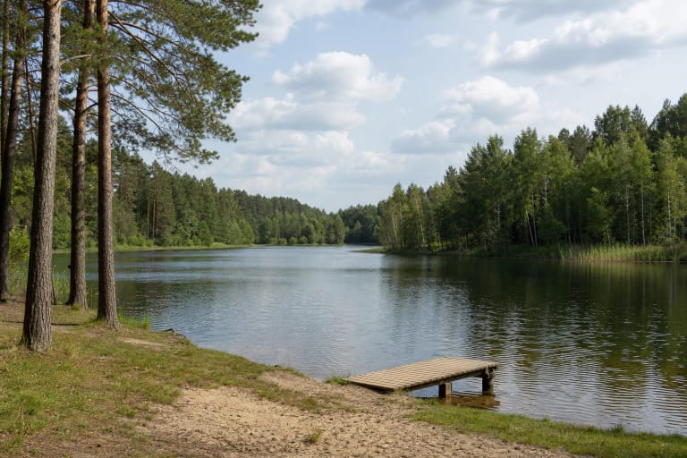 Ilgio ežeras prie Grūto su smėlėta pakrante, mediniu lieptu ir pušynu kitame krante