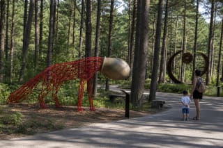 Red wireframe fox with a large jug over its head beside paved paths and pine trees in Palanga Fairy-Tale Park