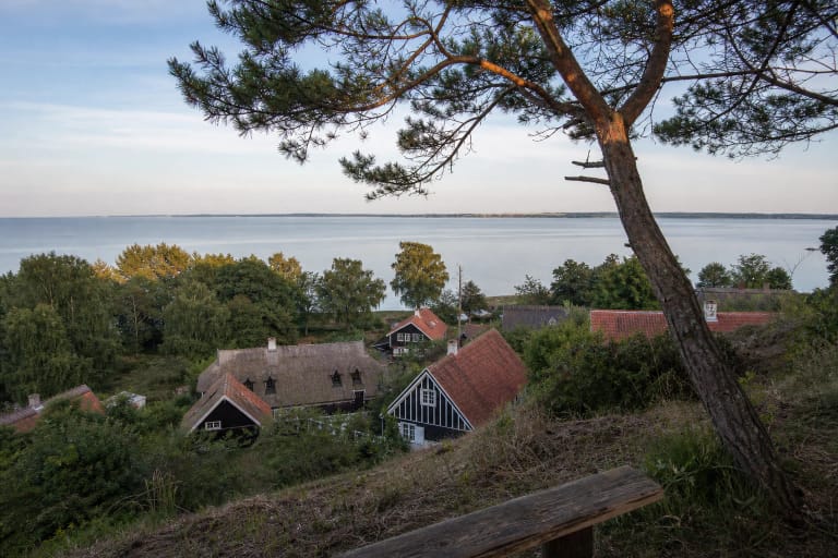 Vaizdas nuo Uošvės kalno per išlinkusias pušis, Nidos žvejų namus ir Kuršių marias