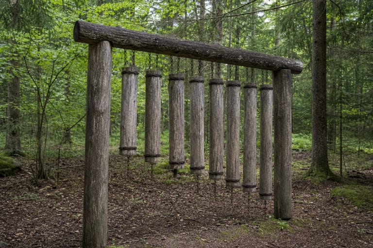 Jomantų miško pažintinio tako Medžiofonas tarp eglių ir lapuočių žaliuojančiame miške
