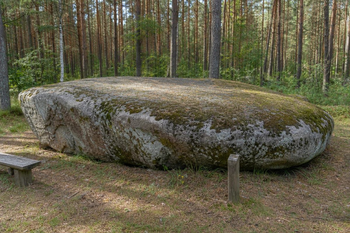 Чёрный камень (Камень любви) в сосновом лесу Жибикай
