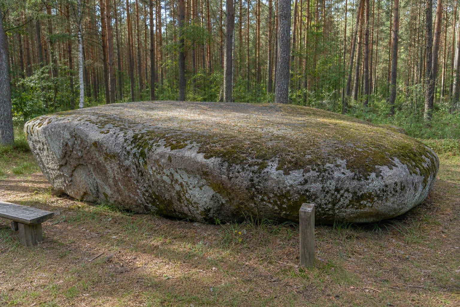 Juodasis (Meilės) akmuo Žibikų pušyne