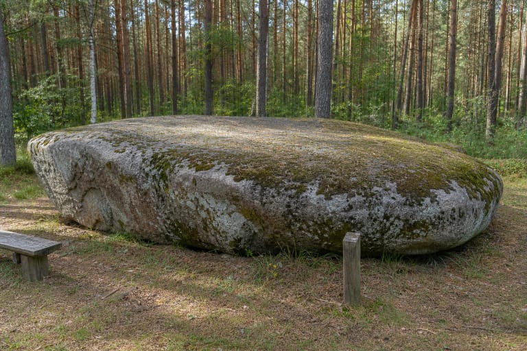 Juodasis (Meilės) akmuo Žibikų pušyne