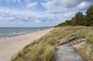 Pale sand, Baltic waves, timber access, and a marram-covered protective dune ridge at Juodkrantė Beach