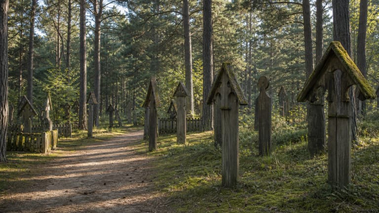 Juodkrantė old cemetery with wooden krikštai-shaped memorial signs, pines, and a quiet Curonian Spit forest path