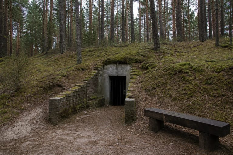 Betoninis partizanų bunkerio įėjimas pušyne prie memorialinės vietos