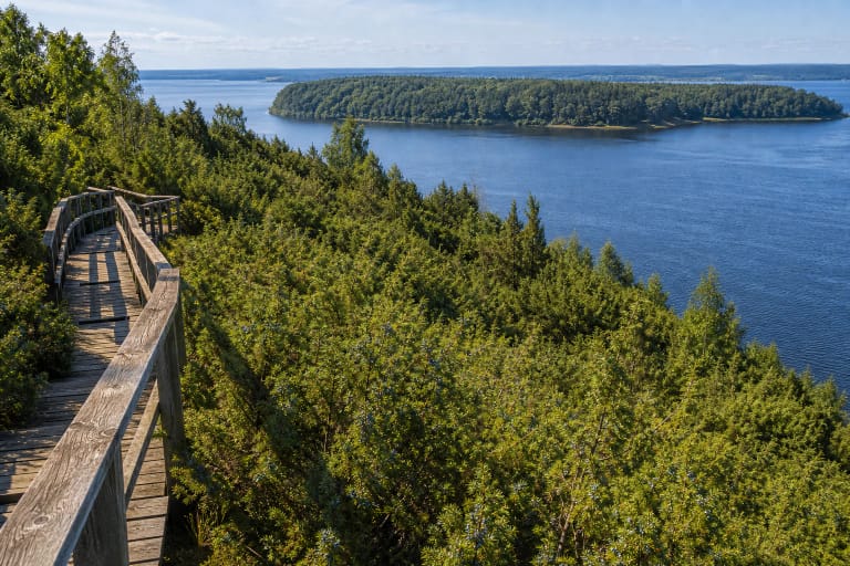 Kadagių slėnio pažintinis takas su mediniu taku per kadagiais apaugusį šlaitą ir Kauno marių panorama