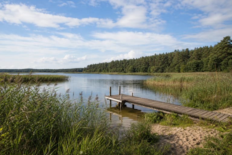 Shallow reed-fringed Kalotė Lake in Seaside Regional Park