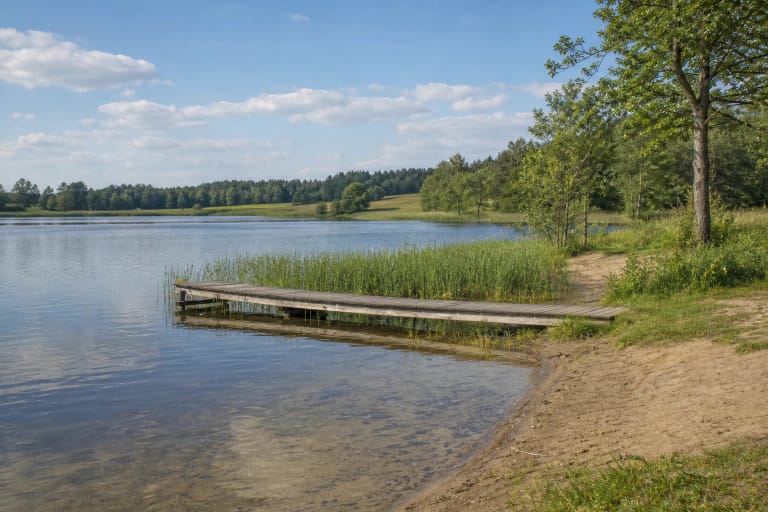 Kalvių ežero vieša pakrantė su mediniu lieptu, nendrėmis, smėliu ir medžiais