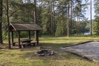 Karageliškiai Campsite shelter and fire ring in a pine forest beside the Neris