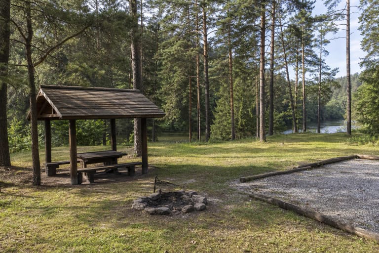 Karageliškių stovyklavietės pavėsinė ir laužavietė pušyne prie Neries