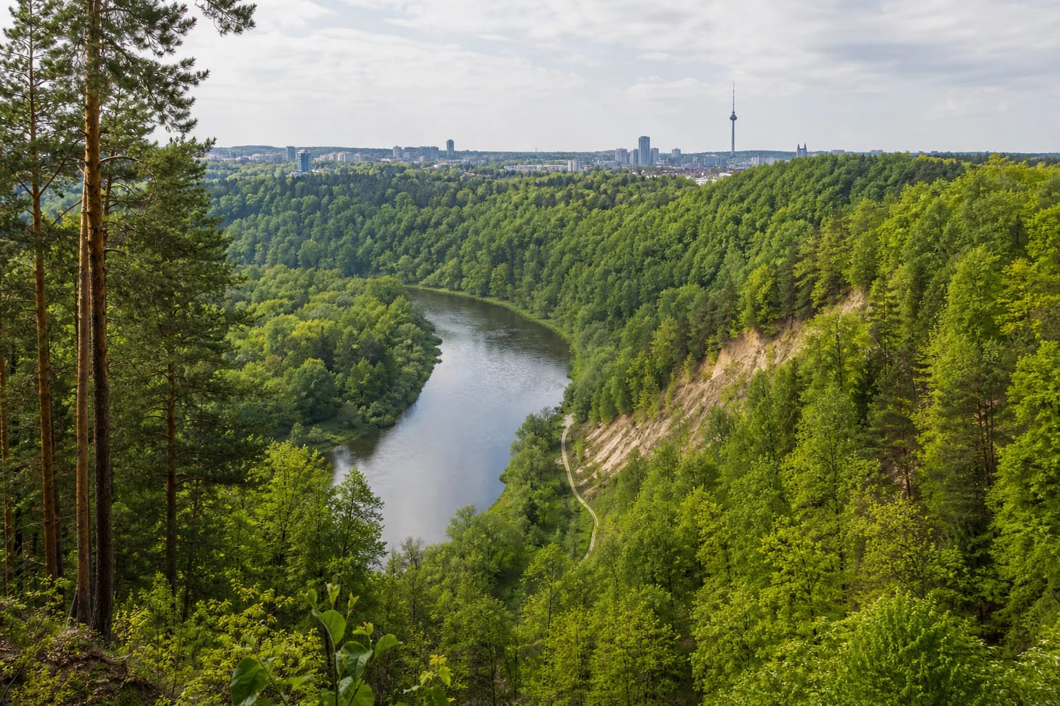 Karoliniškės Landscape Reserve woodland and the Neris bend with Vilnius Television Tower in the distance
