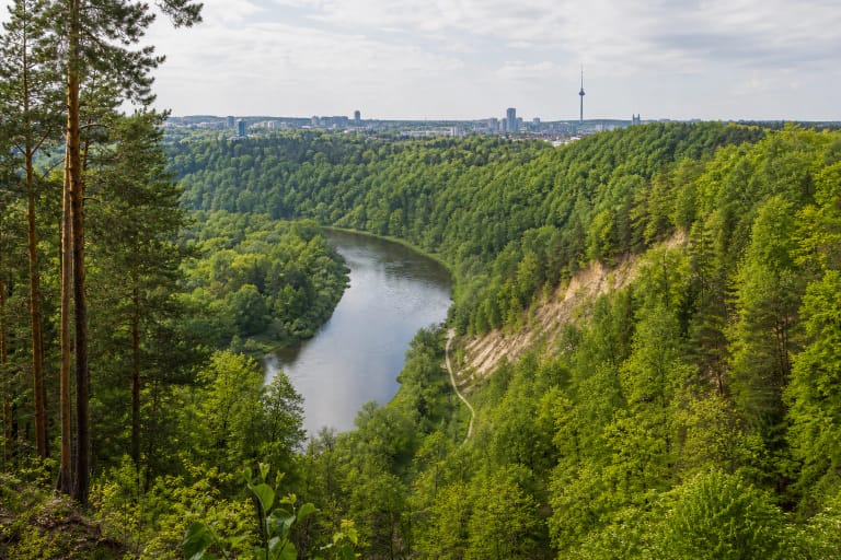 Karoliniškės Landscape Reserve woodland and the Neris bend with Vilnius Television Tower in the distance
