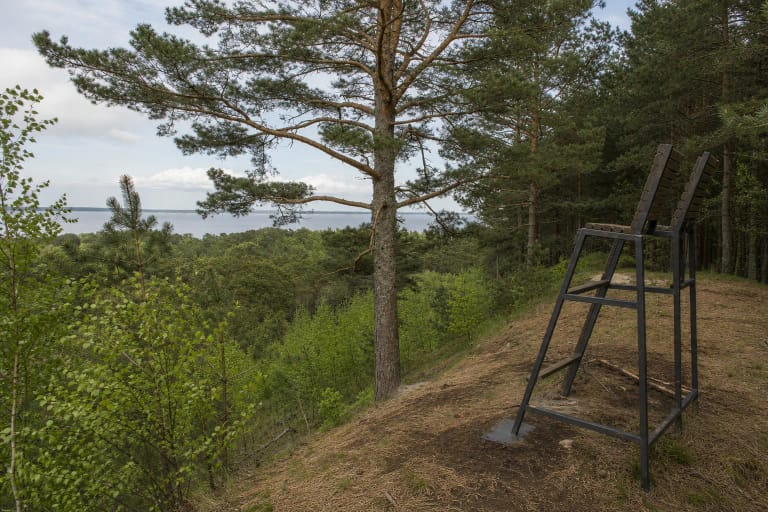 Dvi aukštos medinės apžvalgos kėdės ant miškingos kopos prieš Kuršių marių panoramą prie Juodkrantės