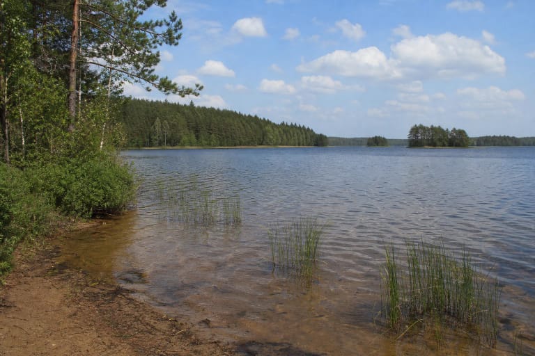 Kertuojų ežero seklus vanduo su nendrių kuokštais, smėlėta pakrante ir miškais apaugusiomis salomis