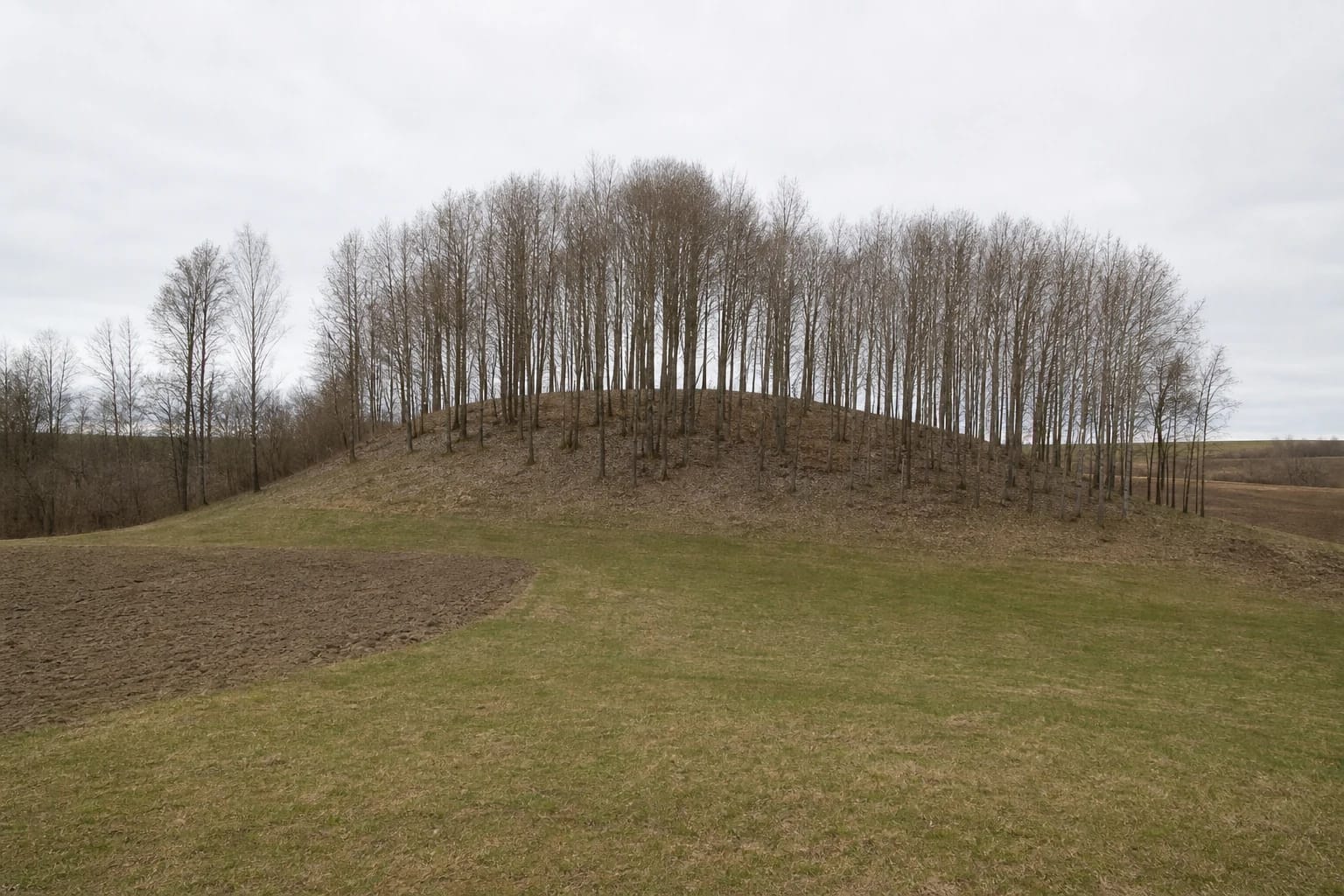 The small deciduous-covered mound of Kieliškas Hillfort with its low rampart ridge and cultivated fields in early spring