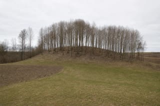 The small deciduous-covered mound of Kieliškas Hillfort with its low rampart ridge and cultivated fields in early spring