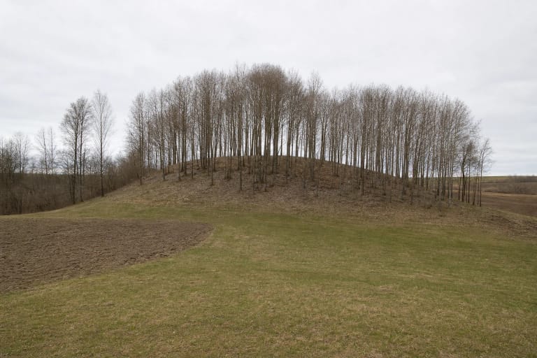 The small deciduous-covered mound of Kieliškas Hillfort with its low rampart ridge and cultivated fields in early spring