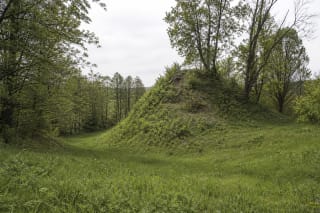 High grass- and scrub-covered rampart of Klebiškis Hillfort above a broad ditch in mixed deciduous woodland