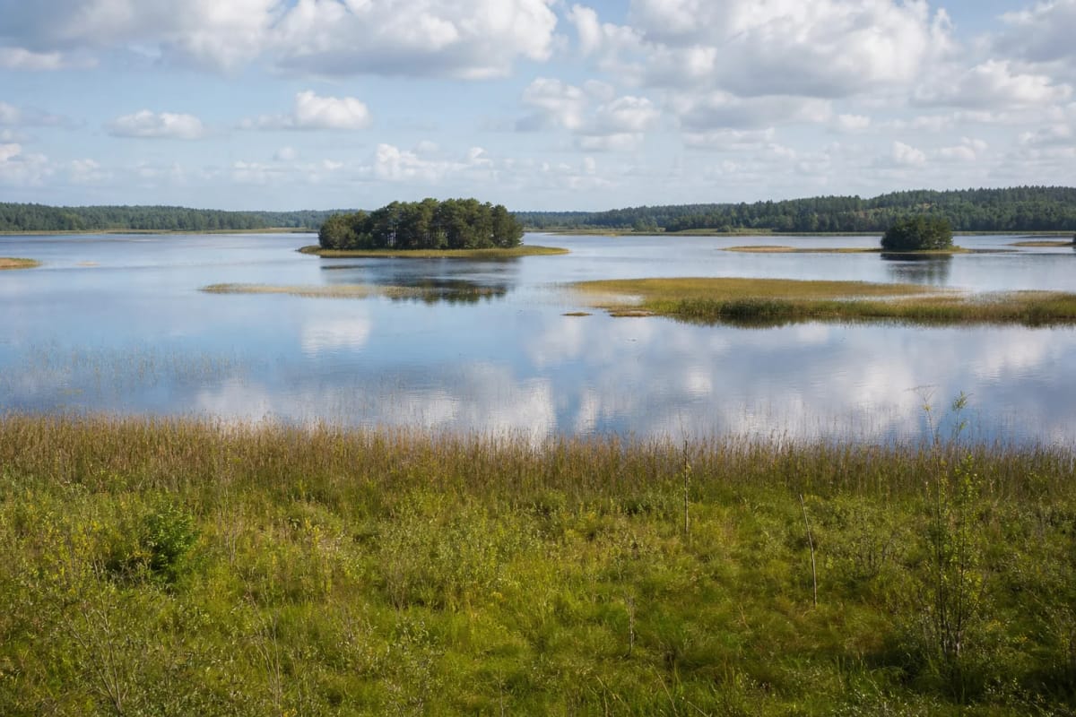 Lake Kretuonas with islands and reedbeds in Aukštaitija National Park