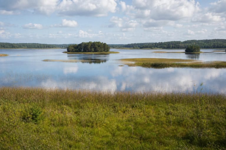 Lake Kretuonas with islands and reedbeds in Aukštaitija National Park