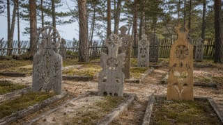 Krikštai of Lithuania Minor, profiled wooden grave markers in a sandy pinewood cemetery on the Curonian Spit