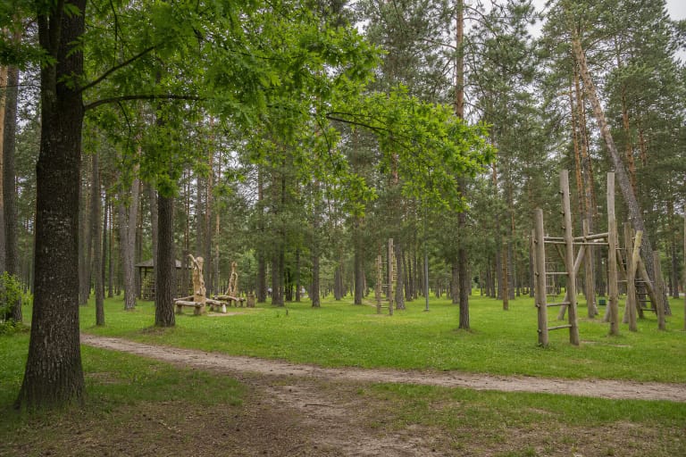 Сосновая поляна в парке Кулаутувы с естественной дорожкой, деревянными игровыми конструкциями и скульптурами из акации