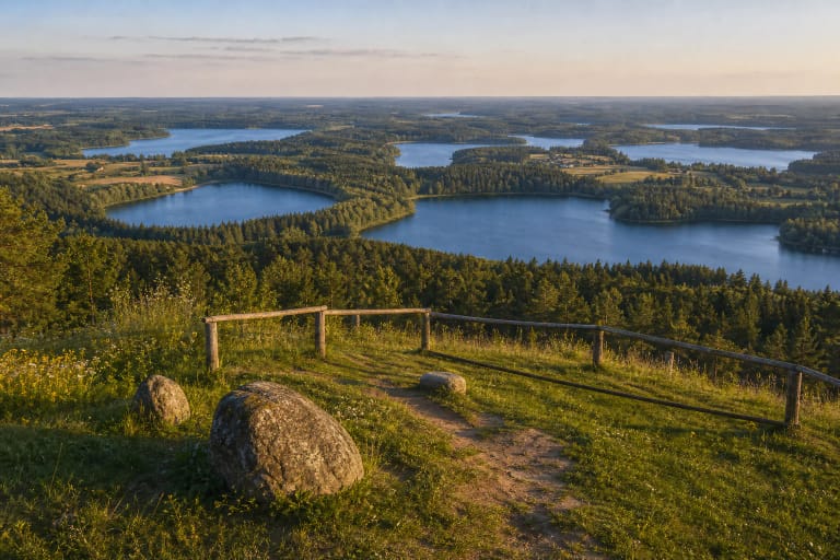 Ladakalnio kalva su mediniu aptvaru ir Aukštaitijos ežerų panorama