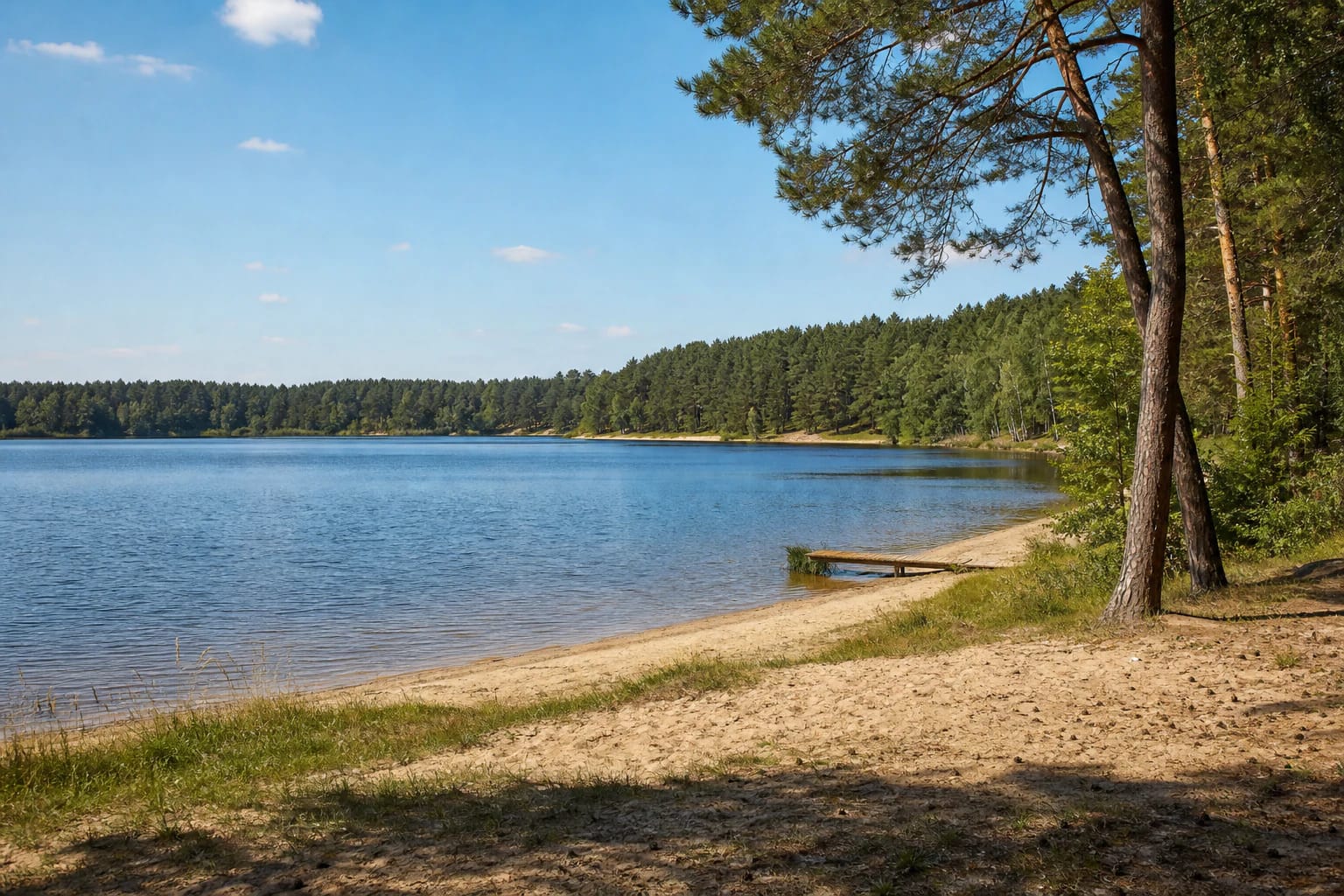 Sandy Lampėdžio Lake shore with a small pier, calm water, and pine woodland