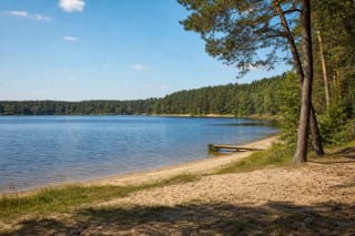 Smėlėta Lampėdžio ežero pakrantė su mažu lieptu, ramiu vandeniu ir pušynu
