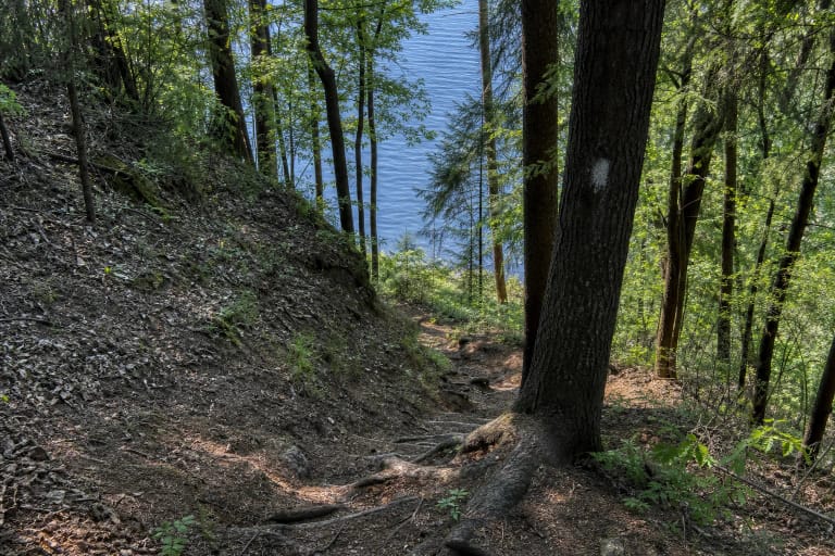 A narrow Laumėnai forest path descending a steep ravine, with tree markings and Kaunas Reservoir visible beyond