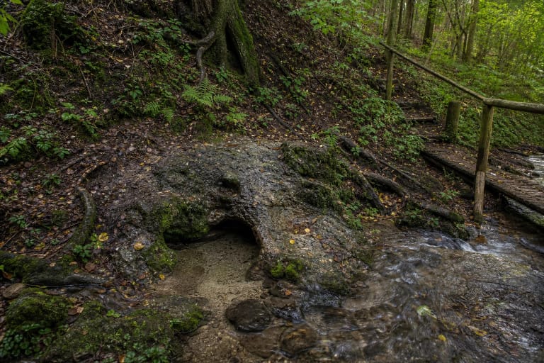 Miško šlaite trykštantis šaltinis Laumės pėda prie Biržuvėnų