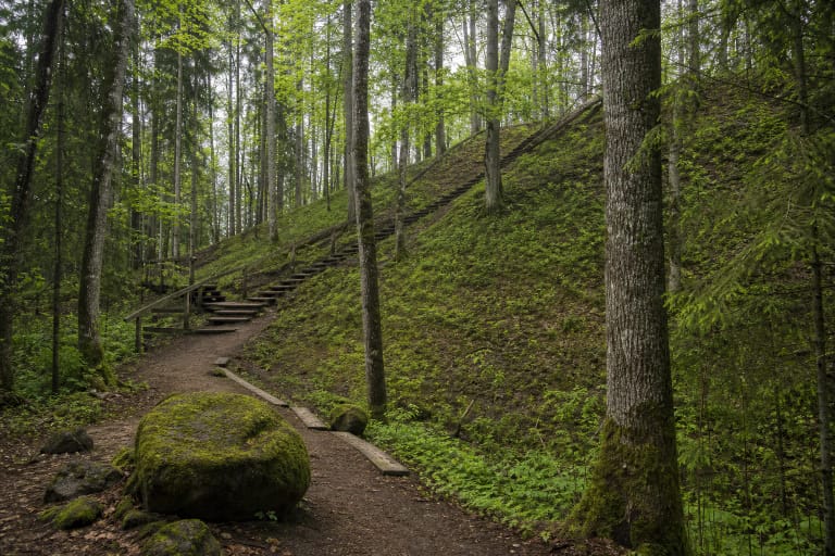 Slopes of Lopaičiai Hillfort and the nature-trail boardwalk in the forest