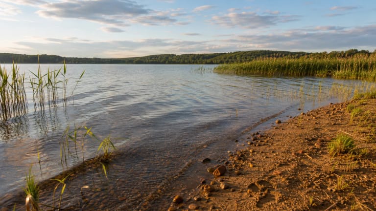 Lūksto ežero pakrantė su nendrėmis, smėlingu krantu ir tolimomis Žemaitijos kalvomis