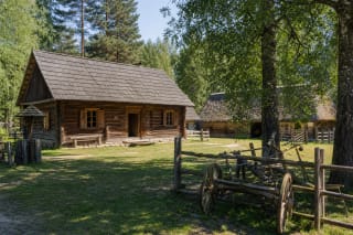 Marcinkonių etnografinės sodybos 1905 m. medinis namas, kluonas ir Dzūkijos miško kaimo kiemas
