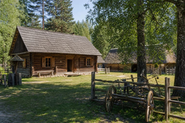 Marcinkonių etnografinės sodybos 1905 m. medinis namas, kluonas ir Dzūkijos miško kaimo kiemas