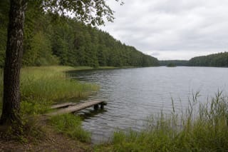 Wooded high shores, a narrow reed-lined margin, and a wooden pier on Lake Margis beneath an overcast sky