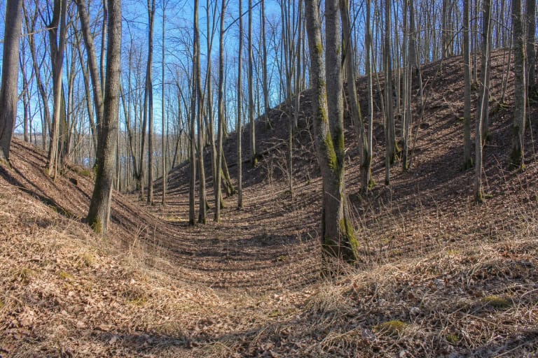 Maštaičių piliakalnio lapuočiais apaugęs šlaitas ir gilus griovys ankstyvą pavasarį