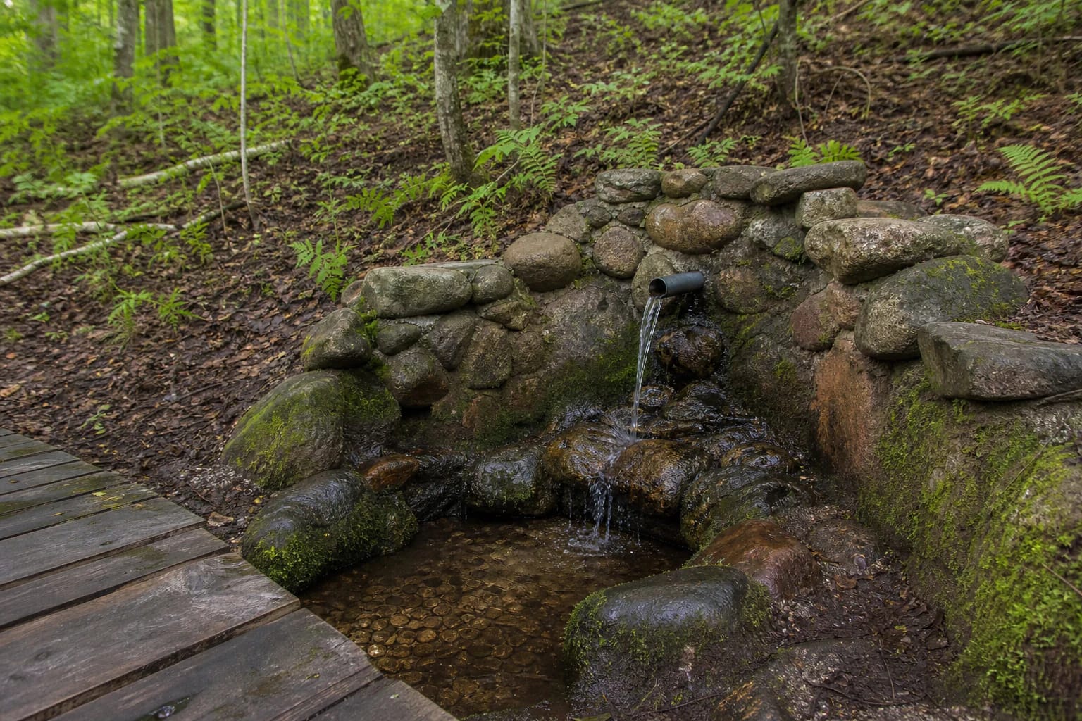 Medžiukalnis Spring with a stone basin, metal spout, moss, and a wooden path in the forest