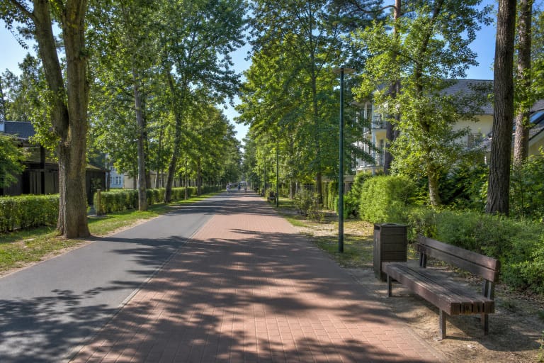 Raudonai rusvomis trinkelėmis grįsta Meilės alėja po brandžių Palangos medžių lajomis, su suolais ir atskira dviračių juosta