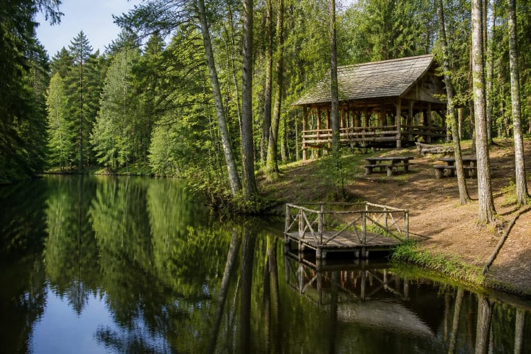 Meižio poilsiavietės tamsus miško tvenkinys, siauras medinis lieptas ir pavėsinė tarp pušų bei beržų