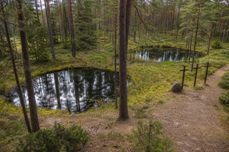 Du apvalūs Mergelių akių ežero baseinai pušyne prie Druskininkų