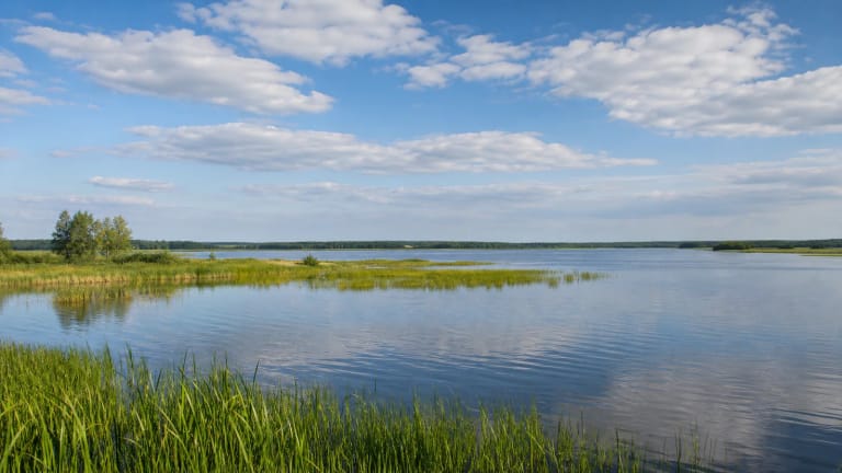 Broad water, reedbeds, and summer shores of Lake Metelys in Meteliai Regional Park